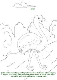 Download now (png format) this coloring page belongs to these categories: Birds Printable Coloring Page For Kids 3