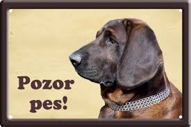 Image result for hannoverský barvář