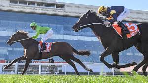 Every tuesday, we round up all the biggest magic online news for the weekly announcements. Magic Millions Guineas 2021 Our Playboy Ready To Rumble In Gold Edition Stakes Daily Telegraph