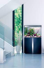 aquarium emotion nature 120 de 211l ciano aquarium design amazing aquariums indoor decor