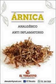 Te De Arnica Health And Nutrition Green Tea Benefits Holistic Nutrition
