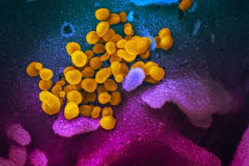 Latest public health information from cdc. The Development Of A New Anti Covid 19 Nanocoating