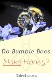 Click The Pin To Discover How Bumblebees Make Honey And How It Differs From Honey Made By Other Bees Learn If These Bees Eat Their Own H Bee Bumble Bee Bumble