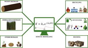 Testing carbon monoxide alarms with real co (solo c6). Reusing Recycling And Up Cycling Of Biomass A Review Of Practical And Kinetic Modelling Approaches Sciencedirect