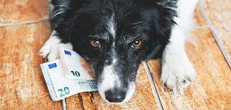 Последние твиты от hondenbelasting (@hondenbelasting). Hondenbelasting Bijna Op Bord Tweede Kamer Gemeente Nu
