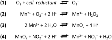 It is a manganese molecular entity and a metal oxide. Manganese Oxide Biomineralization Provides Protection Against Nitrite Toxicity In A Cell Density Dependent Manner Applied And Environmental Microbiology