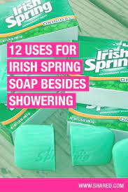 You could also try irish spring aloe soap, which contains natural aloe vera extract to help keep skin soft and supple. Did You Know That You Can Use Irish Spring Soap In Your Everyday Life To Make Things Easier Diy Hacks Irish Irish Spring Irish Spring Soap Mason Jar Diy