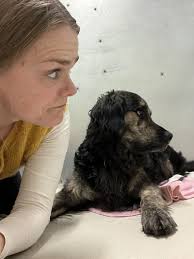 Laila Odette Benjnouh Schultz