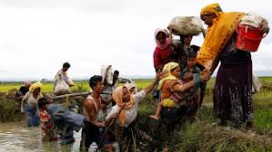 Image result for rohingya