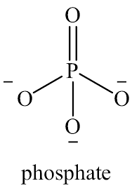Phosphorus pentoxide is a chemical compound with molecular formula p 4 o 10 (with its common name derived from its empirical formula, p 2 o 5 ). The Oxidation Number Of Phosphorus In Po43 P4o10 And Class 11 Chemistry Cbse