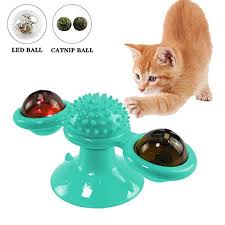 Pin On Pets