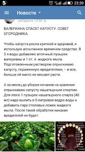 опрыскивание деревьев весной по фазам от болезней и вредителей Pin Ot Polzovatelya Viktor Na Doske Vrediteli Ovoshnoj Ogorod Posadka Ovoshej Ogorod
