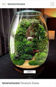 10 Best Balcony Garden Designs And Ideas For 2019 New Decoration Garden Terrarium Terrarium Fairy Garden