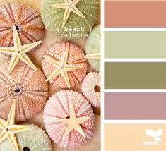For information about the address and site location please email info@southfloridaclt.org. 61 Florida Color Palette Ideas Color Palette Color Palette