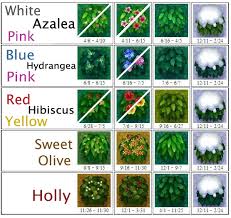 Animal Crossing World On Twitter Anyone Else Hoping We Ll See Bushes Added To Animal Crossing New Horizons With Leif Arriving Late Next Month Acnh Image Source Https T Co Cvid8umcud Https T Co Bk8ir8nqtb