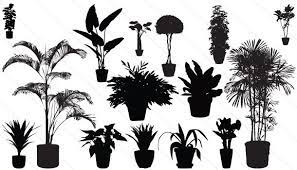 Potted Plants Silhouette Vector Download Plant Vector Plant Vector Silhouette Vector Nature Vector