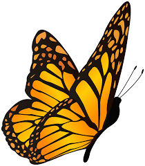 We did not find results for: Transparent Background Orange Butterfly Clipart Novocom Top