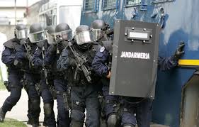 Internele Umilite De Politia Locala Ziarul National