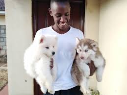 If you have previous training and experience in this field, valid driver license and good driving record, please apply through email with your resume. The Royal Pets Nairobi Kenya Contact Phone Address