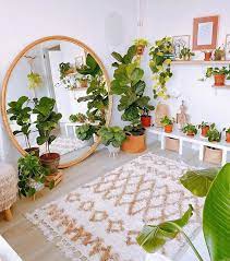 火遍ins出镜率超高的网红绿植大扒皮 英文叫法 种类科普 养在家里超有范儿 北美省钱快报dealmoon com 攻略