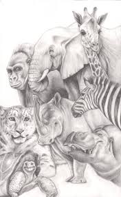 Animals Animal Drawings Animal Sketches Animal Art