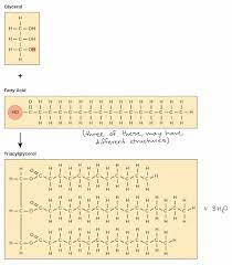 Maybe you would like to learn more about one of these? Lipids Article Macromolecules Khan Academy