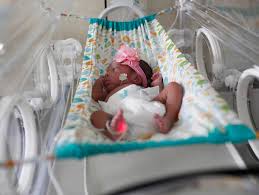 Resultado de imagem para Bebes partos normais