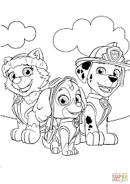 You can get the paw patrol everest coloring pages here. Everest Marshall And Skye Coloring Page Free Printable Coloring Home