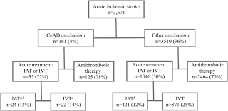 flowchart of patients with acute ischemic stroke by