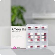 Image result for Amoxicillin