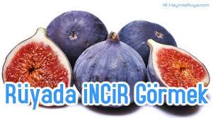 Ruyada Incir Gormek Figs Benefits Fruit Fig Fruit