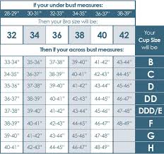 Bra Size Chart Google Search Lenceria Blogs De Costura