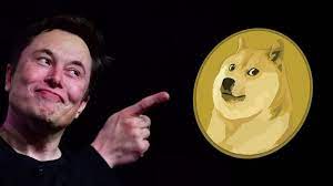 Ana sayfa blockchain 101 dogecoin nedir? Dogecoin Nedir Nasil Alinir
