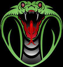 Logo Snake Design Vector Ular King Cobra Ular Binatang King Cobra