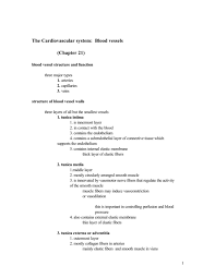 The Cardiovascular System Blood Vessels Chapter 21