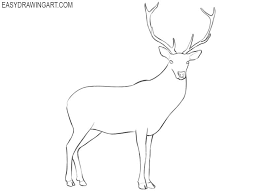 How To Draw A Deer Easy Drawing Art Deer Drawing Deer Drawing Easy Drawings