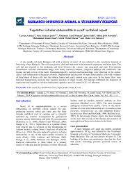 We did not find results for: Pdf Vegetative Valvular Endocarditis In A Calf A Clinical Report Drlawan Adamu Academia Edu