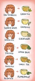 Various Kinds Of Herbal Medicines Herbal Tea Remedies Chart