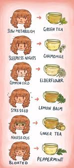 Various Kinds Of Herbal Medicines Herbal Tea Remedies Chart