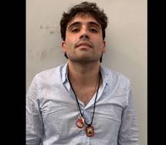 Emma coronel aispuro, the wife of mexican drug kingpin joaquin el chapo guzman, was arrested monday at dulles international airport in virginia on international drug trafficking charges, the department of justice said. Ovidio Guzman Lopez Wiki Age Height Wife Kids Net Worth Bio