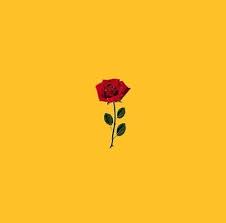 Pin By Jamie Coppen On Yellow Yellow Aesthetic Yellow Background Yellow Wallpaper