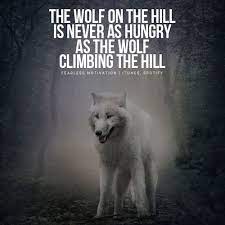 We did not find results for: 20 Strong Wolf Quotes To Pump You Up Wolves Wolfpack Quotes