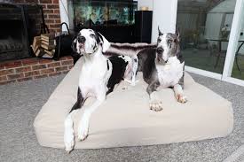 Kirkland dog bed washing instructions. How To Wash A Dog Bed With Urine