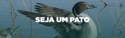 Seja um pato