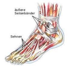 17 Fuss Bander Ideen Anatomie Und Physiologie Menschlicher Korper Anatomie Anatomie