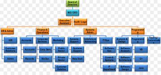 Organizational Chart Text Png Download 1263 570 Free