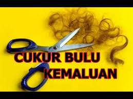 Tidak ada larangan dari syarak terhadap mencukur bulu kaki. Hukum Dan Tatacara Mencukur Bulu Kemaluan Menurut Islam Ini Jawapan Yang Perlu Anda Ketahui Info Manafaat