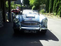 Image result for Jonquil 1963 Austin