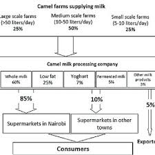 Integration patterns help by providing solutions for standardized ways of integrating systems. Pdf Value Chain Analysis And Sanitary Risks Of The Camel Milk System Supplying Nairobi City Kenya