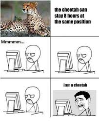 Gamers Cheetah Funny Memes About Girls Funny Memes Funny Pictures